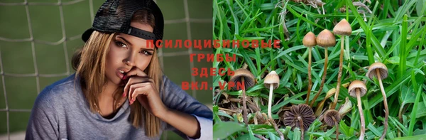 MESCALINE Белокуриха